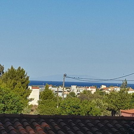Elena'S Farm House Near Airport And Artemida Beach Buitenkant foto