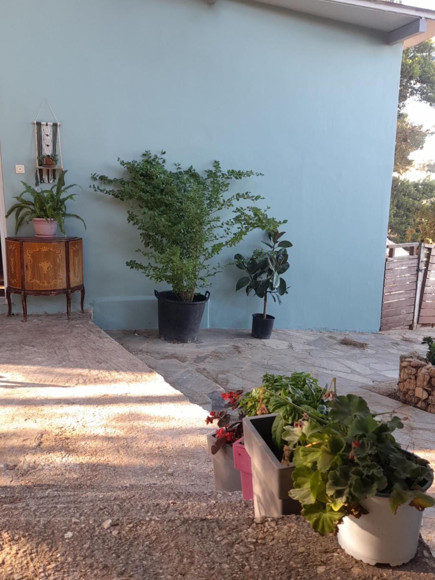 Elena'S Farm House Near Airport And Artemida Beach Buitenkant foto